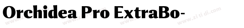 Orchidea Pro ExtraBo字体转换